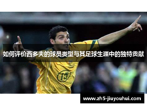 如何评价西多夫的球员类型与其足球生涯中的独特贡献