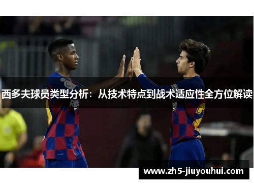西多夫球员类型分析：从技术特点到战术适应性全方位解读