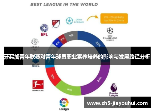 牙买加青年联赛对青年球员职业素养培养的影响与发展路径分析