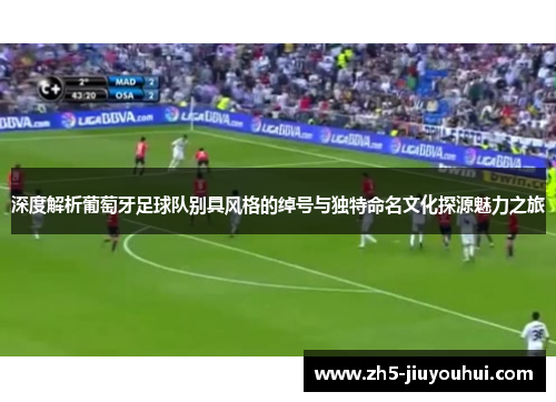 深度解析葡萄牙足球队别具风格的绰号与独特命名文化探源魅力之旅