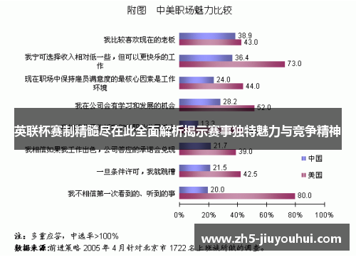 英联杯赛制精髓尽在此全面解析揭示赛事独特魅力与竞争精神